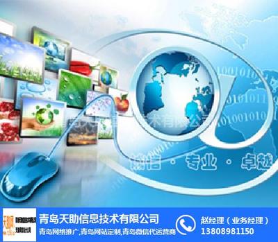 青岛易站通价格解析及天助在线咨询服务对比